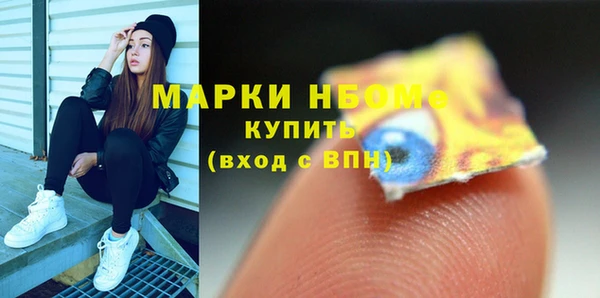 стаф Алзамай