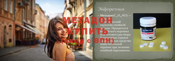 стаф Алзамай