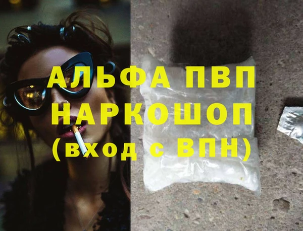 стаф Алзамай