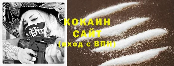 стаф Алзамай