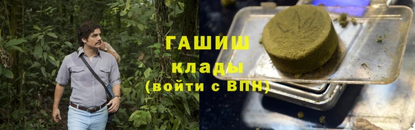 стаф Алзамай