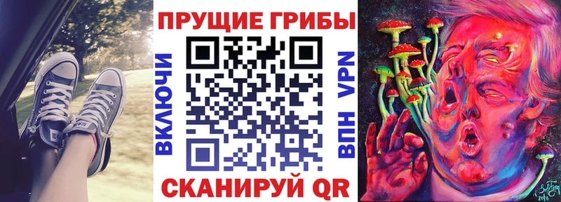 Галлюциногенные грибы прущие грибы  купить закладку  ОМГ ОМГ как зайти  Троицк 