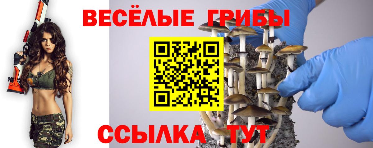Галлюциногенные грибы ЛСД Троицк